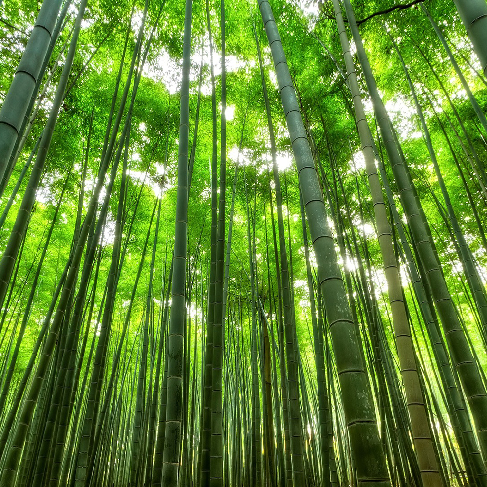 環境アグリ事業