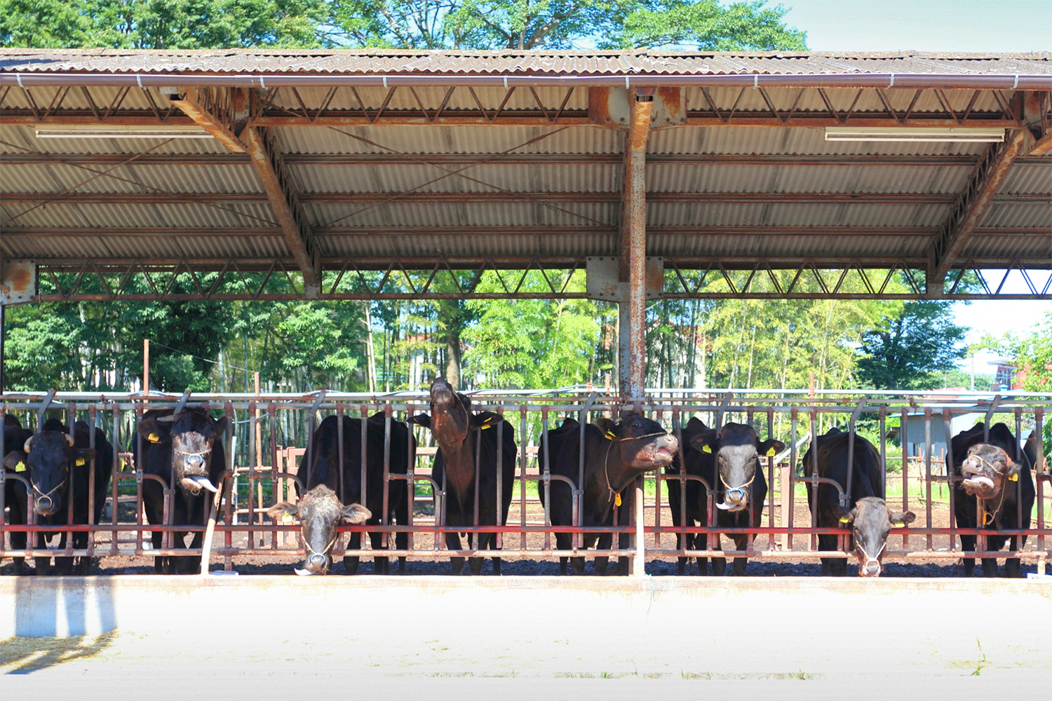 畜産業を支える