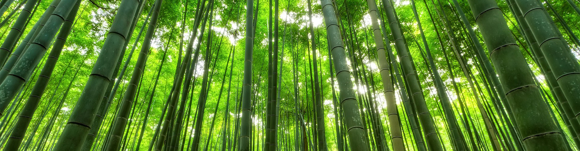 環境アグリ事業の画像