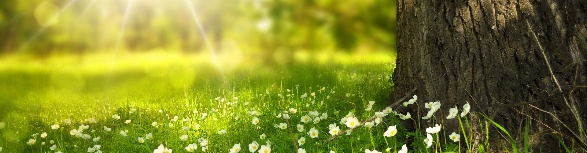 SDGsへの取組の画像