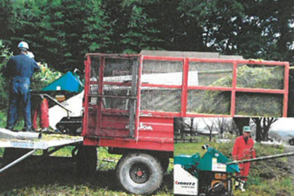 竹林にて竹を細裁断(その後運搬)の画像