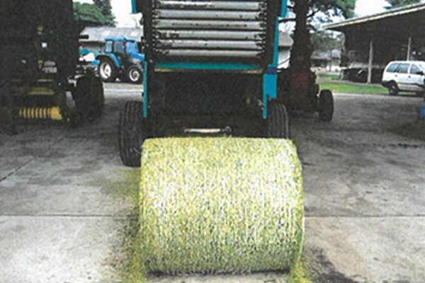 ロール状に成型の画像