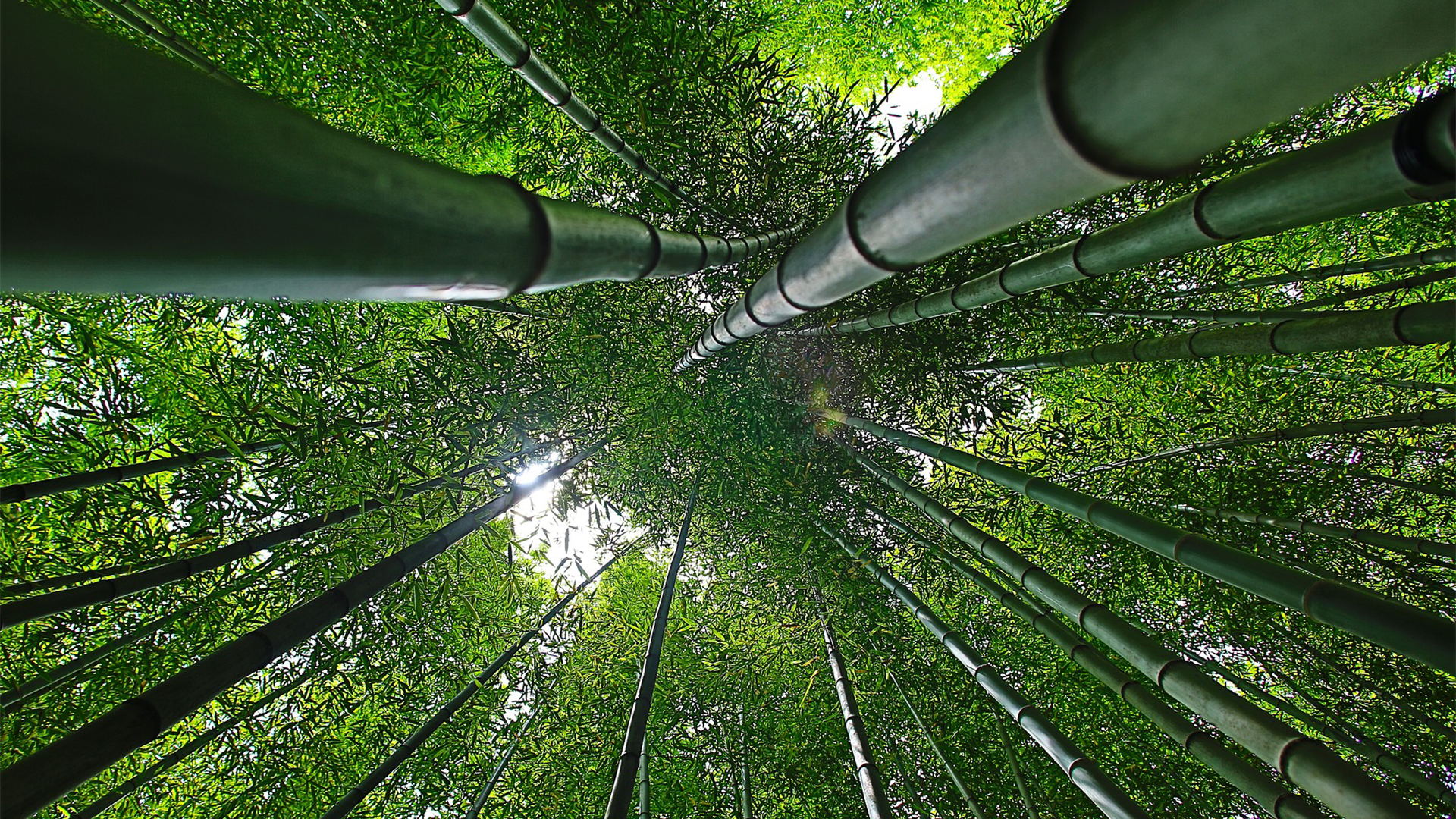 大和フロンティア