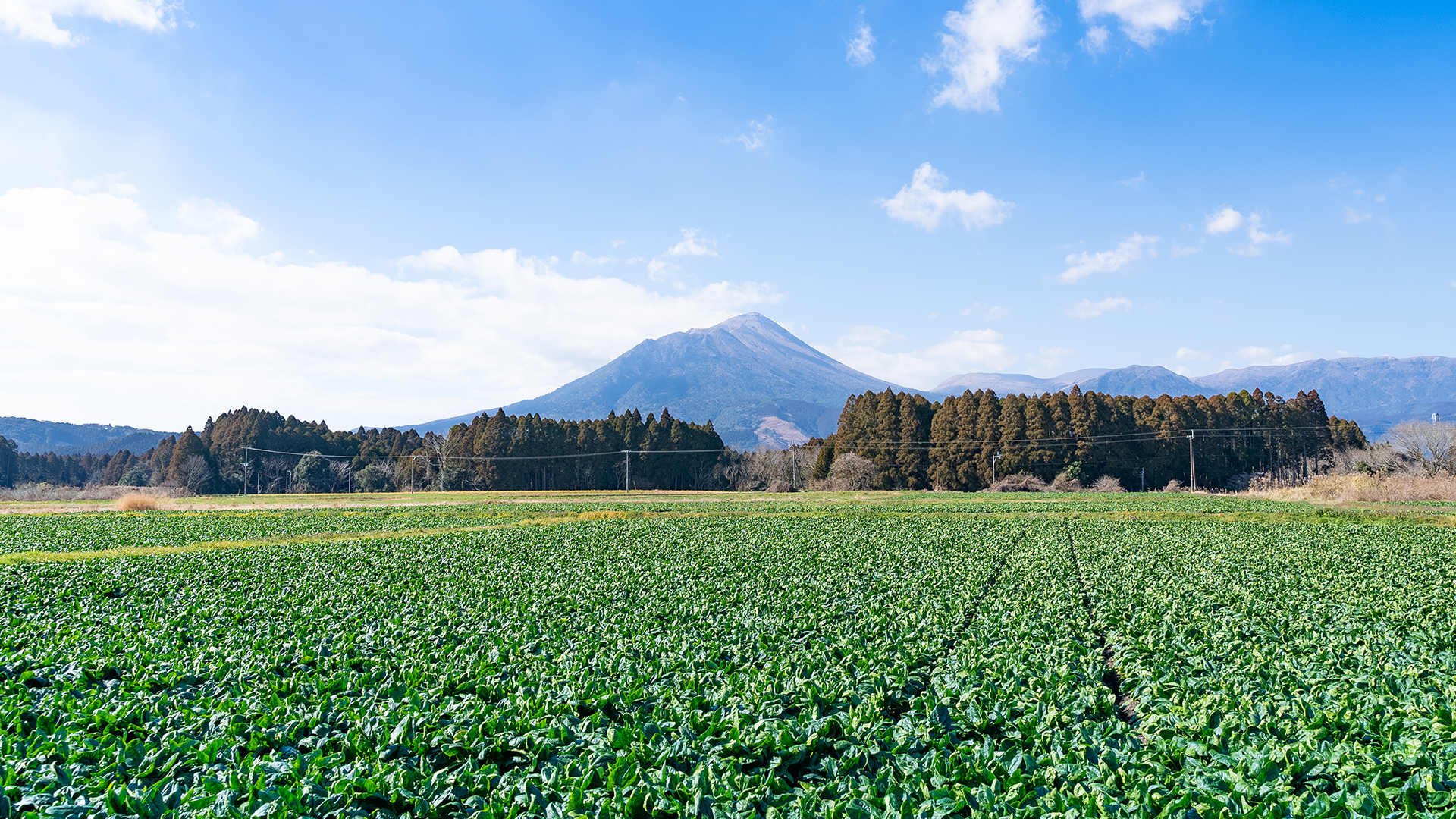 大和フロンティア