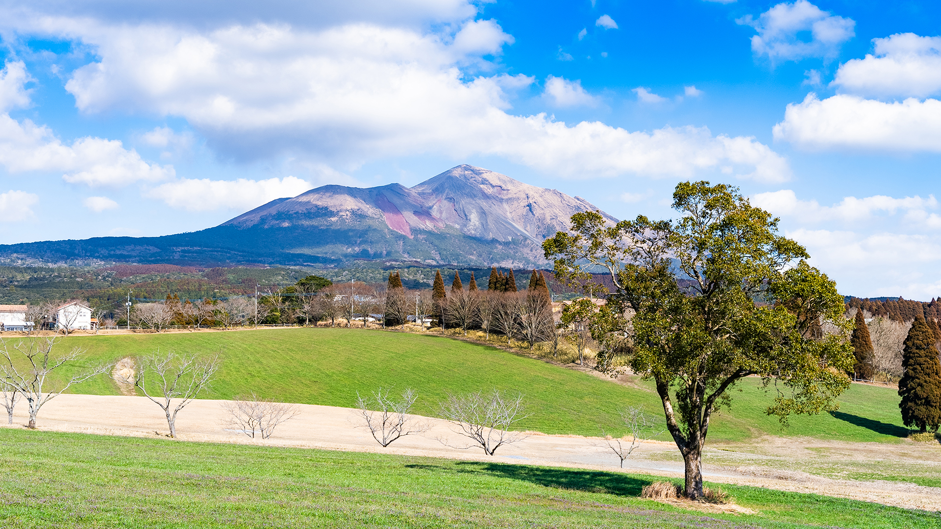 大和フロンティア