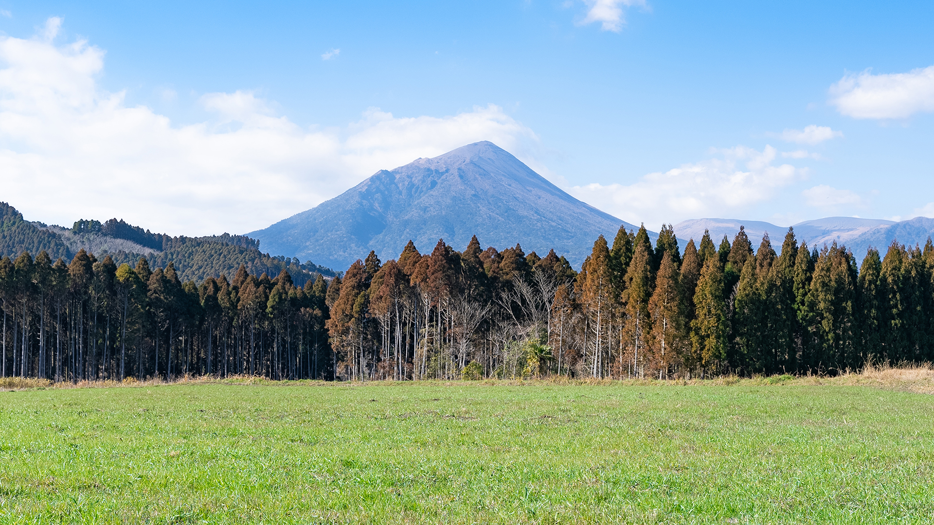 大和フロンティア